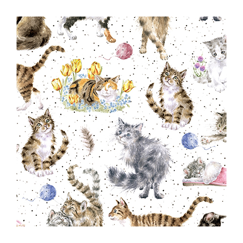 Whiskers & Paws Directional Cats White MAS10414-W