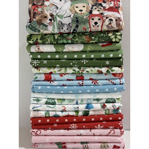 Santa Paws 18 Piece Special Bundle
